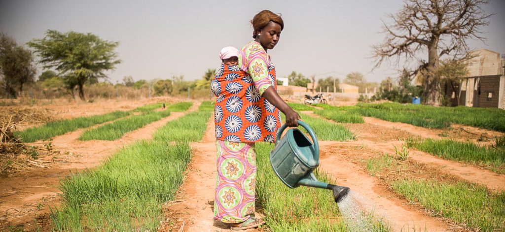 Crossroads is providing vital support to local program partners in Burkina Faso, Eswatini, Ghana, Senegal, Tanzania and Togo to deliver essential services and provide direct community support.